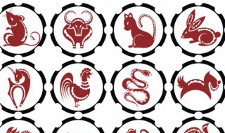 兔年本命年要戴什么生肖 兔年本命年戴什么生肖