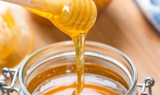 蜂巢酒怎么泡 蜂巢泡酒的方法