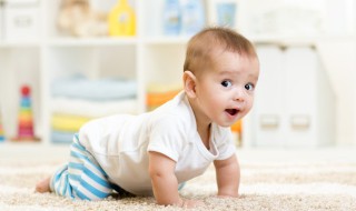 男属虎女属马适合什么生肖宝宝 爸爸属虎妈妈属马孩子属什么好