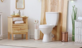 卫生间最小物件是什么 卫生间添置什么高级美观又实用小物件