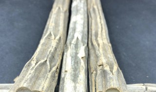 降龙木如何镇宅 降龙木能镇宅吗