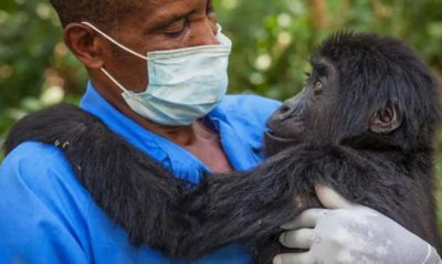 艾滋病最初是怎么来的 最开始艾滋病是从哪里来的