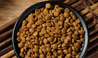 狗粮怎么样保存不发霉 狗粮保存不发霉的方法
