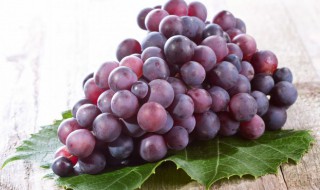 葡萄怎么挑又甜又脆好吃 如何挑选葡萄又甜又脆好吃呢