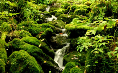 鸡西人口数量是多少 黑龙江省鸡西市各区县人口一览