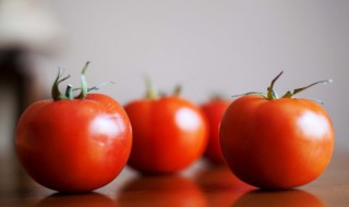 吃西红柿可以喝酸奶吗 吃西红柿能不能喝酸奶呢