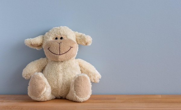 毛绒玩具怎么清洗不影响手感