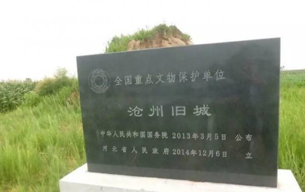 沧州是哪个省份的城市