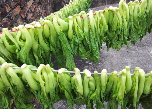 梅菜是不是芥菜雪里红