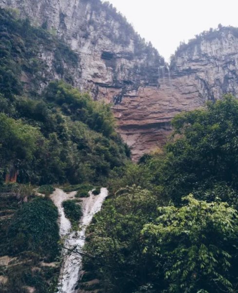 重庆主城九区分别是哪里