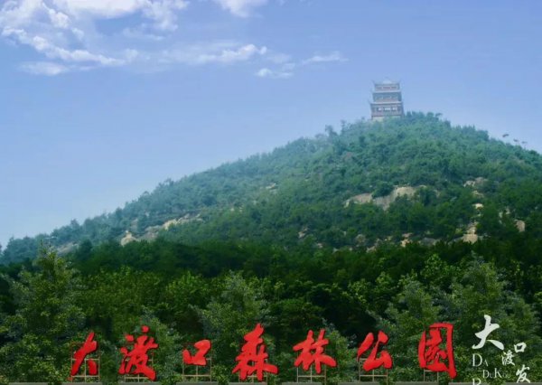 重庆主城九区分别是哪里