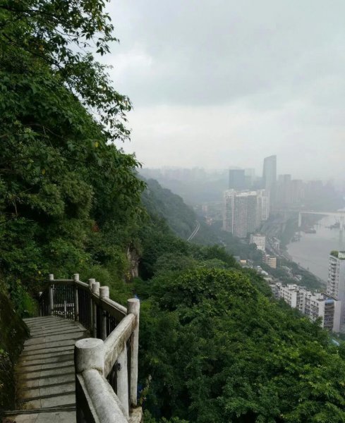 重庆主城九区分别是哪里