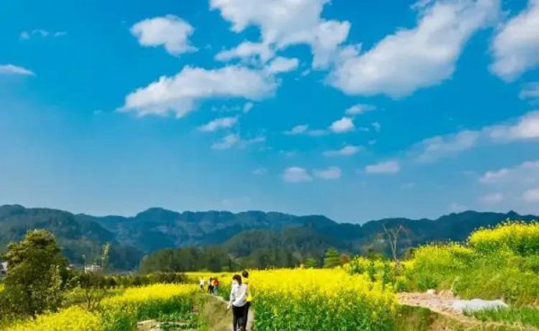 重庆主城九区分别是哪里