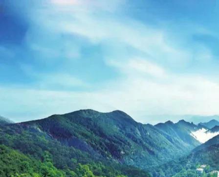 重庆主城九区分别是哪里