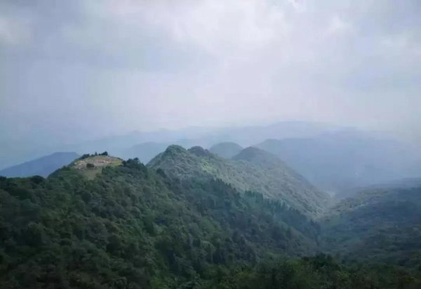 重庆主城九区分别是哪里