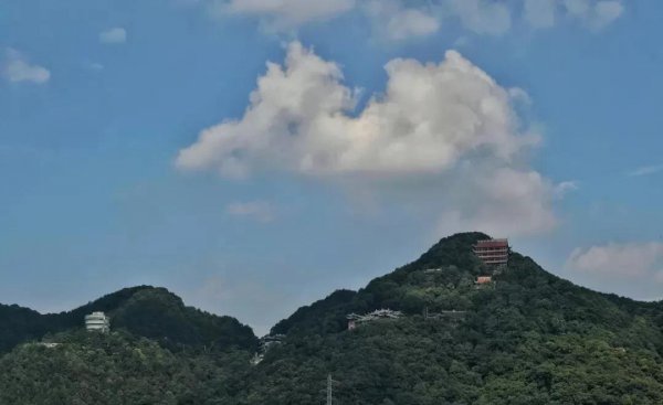 重庆主城九区分别是哪里