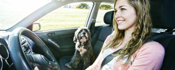 etc账单怎么查询