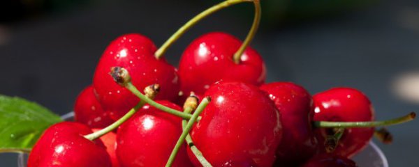 大樱桃能冷冻保存吗