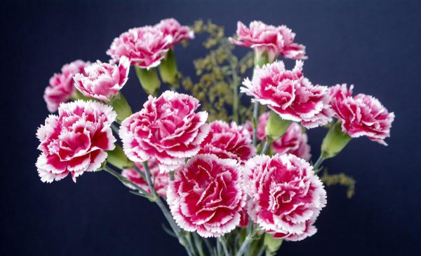 母亲节送什么给妈妈最好