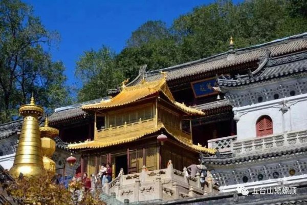 五台山在哪里哪个省