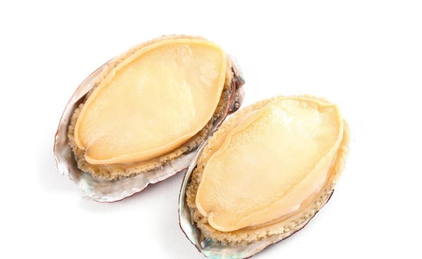 10头鲍鱼一只多大图片