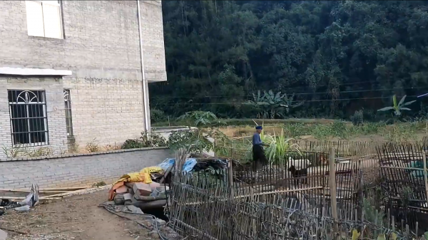 土狗的寿命有多长