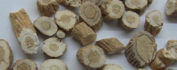 板蓝根可以直接吃吗