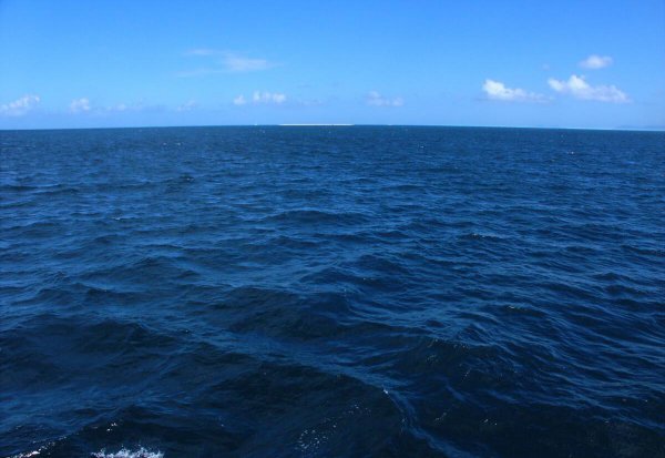 世界上最大的洋是哪个洋