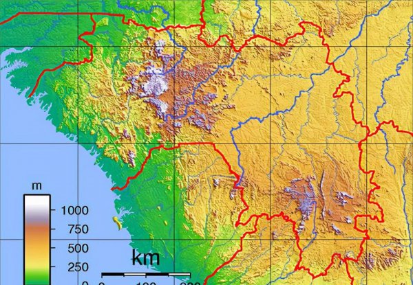 guinea是哪个国家的英文简称