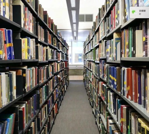 萨塞克斯大学世界排名