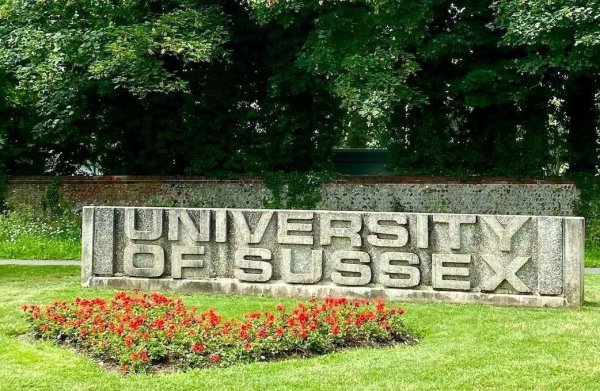 萨塞克斯大学世界排名