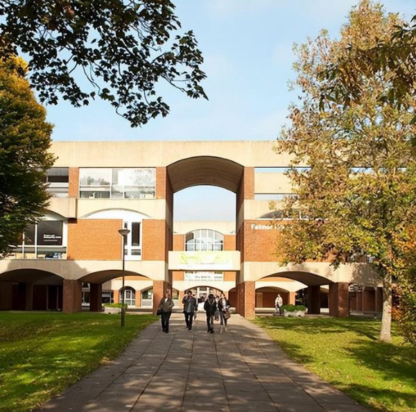 萨塞克斯大学世界排名