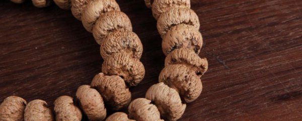 莲花菩提产地是哪里