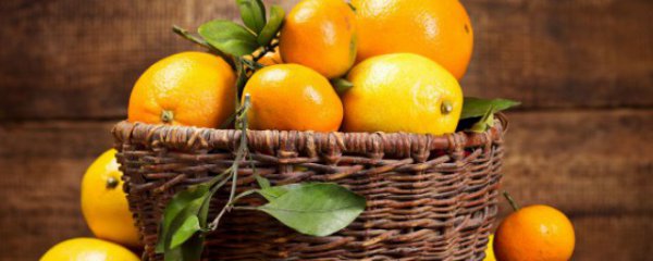 大量桔子长期保存方法