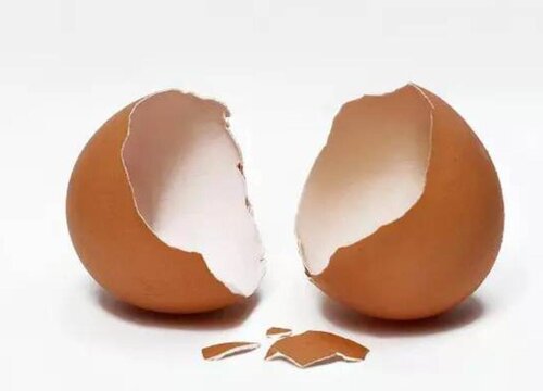 鸡蛋壳如何养护多肉枝叶圆润