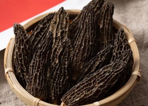 羊肚菌亩产量一般多少斤