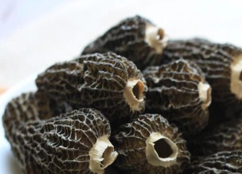 羊肚菌亩产量一般多少斤