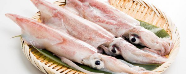 墨鱼馅饺子怎么做