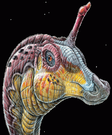 青岛龙的资料和图片