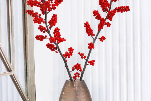 名贵花卉有哪些品种名称及图片