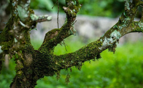 西藏冰岛五寨位置在哪