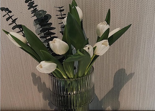 水培郁金香的种植方法和时间