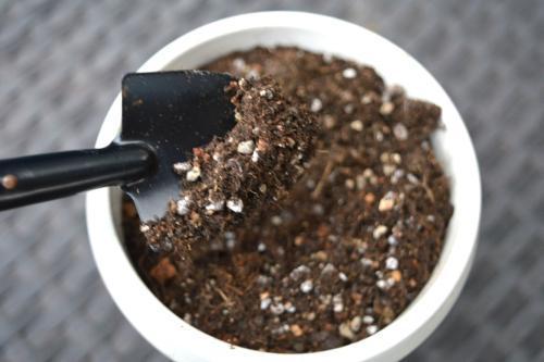 不花钱快速自制多肉土