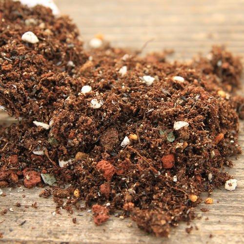 不花钱快速自制多肉土