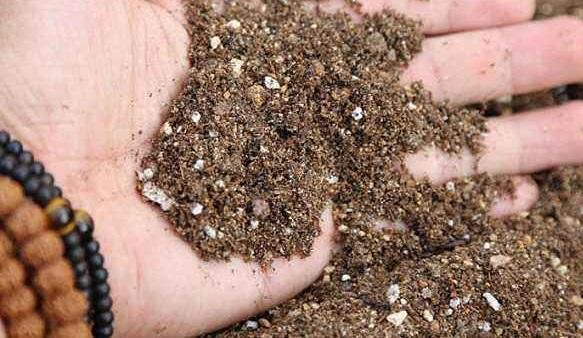 不花钱快速自制多肉土