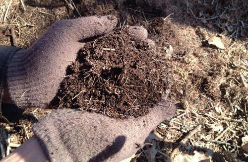 不花钱快速自制多肉土