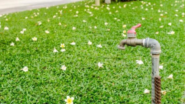 水的分类有哪几种