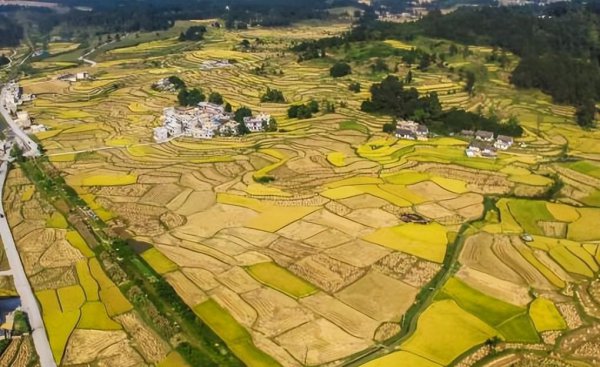 土地盐碱化的原因