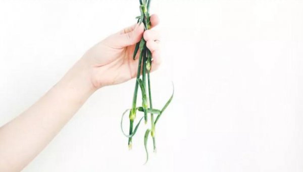 花瓶里面加什么延长鲜花寿命