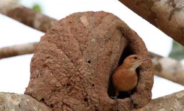 玻璃钢是什么材质制成的